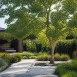 Coolest trees for sustainable gardens and urban landscapes