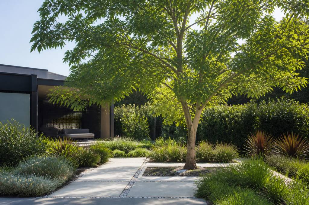 Coolest trees for sustainable gardens and urban landscapes
